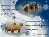pf 21 2