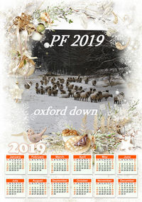 pf 2019 2