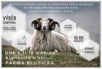 bludička pozvánka