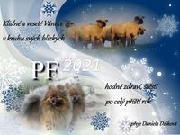 pf 21 1