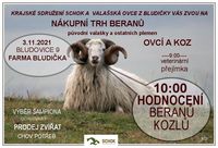 pozvánka bludička